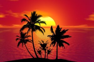 tropical-1651423_1280 tropical-1651423_1280