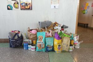 6b81f95e-e0ab-4a08-9319-4621d0644edd