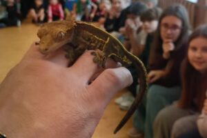 f9c48412-a992-4047-96e6-88633dd3ce56